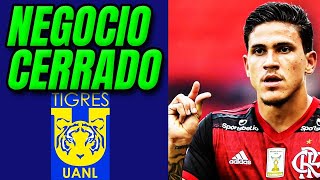 🚨💥 ¡INCREÍBLE! ¡CONTRATACIÓN BOMBA DE TIGRES CONFIRMADA! NOTICIAS TIGRES