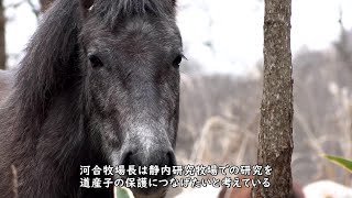 知のフィールド #1 北海道大学 静内研究牧場「森のなかの畜産研究」