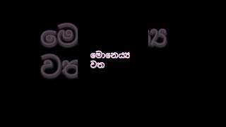 Moneyya watha 🌼🏵️☸️🌸🙏💯 #sundaradahamak #බුදු_දහම