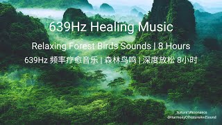 639Hz Healing Frequency | 森林鸟鸣放松音乐 | Sleep, Meditation, Stress Relief