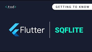 3 - how to ( insert update delete select ) Sqflite flutter