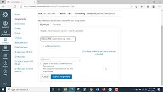 Using Turnitin in Canvas for NWTC Students