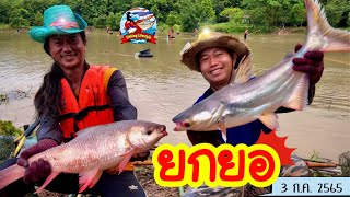 ยกยอ บ่อเหมาชีวิตใหม่ ►Fishing lifestyle Ep.582