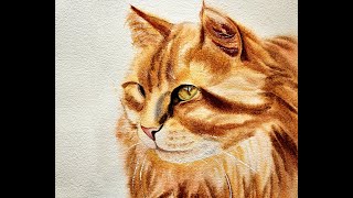 Ginger cat realistic painting in watercolor| How to paint a ginger cat in watercolour| Кот акварелью