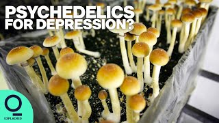 How Magic Mushrooms Are Helping Ease Depression