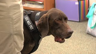Behind the scenes at TSA, law enforcement K-9 training