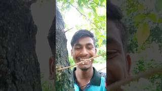 ହଁ ମୁଁ ହସିଲି 😄😄😄😄🤭🤭😄😄😄😄😄😄😄😄😄😄😄#shorts #viral #ytshorts #odiacomedy #video