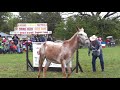 2018 30th annual pea ridge mule jump