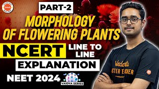 Morphology of Flowering Plants | Part-2 | NCERT Line to Line Explanation | NEET 2024 | Ajay Sir