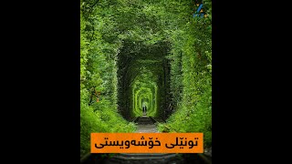 تونێلی خۆشەویستی