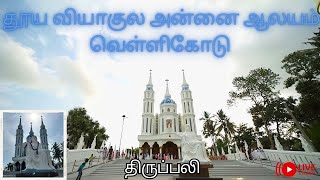 🔴 LIVE  புனித வியாகுல அன்னை ஆலயம்,  |வெள்ளிகோடு | திருப்பலி |    09-02-2025