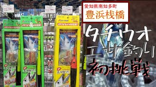 愛知県の豊浜桟橋で太刀魚を狙ってきた【なご釣り】