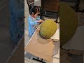 teigan hilarious reaction seeing jackfruit for the first time 🍈😄 funny cute teigan