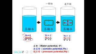 11001選修生物一ch1 2 09滲透壓與膨壓+水勢的觀點一恭