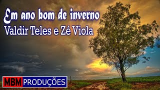 EM ANO BOM DE INVERNO - ZÉ VIOLA \u0026 VALDIR TELES