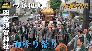 【四谷須賀神社】雨が似合う四谷担ぎ　～2024本社神輿～