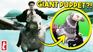 Revealing Which Harry Potter Creatures Were Fake