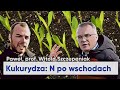 Azot w KUKURYDZY po wschodach?! W jakiej postaci? prof. W.Szczepaniak | e-pole do popisu 96