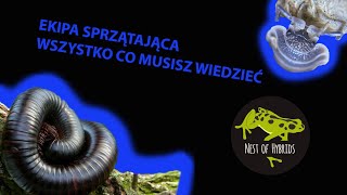 EKIPA SPRZĄTAJĄCA W TERRARIUM!!! - WSZYSTKO CO MUSISZ WIEDZIEĆ