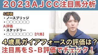 【2023ＡＪＣＣ】ガイアフォースに死角はあるのか？穴妙味なら【2-0-0-0】データ該当馬