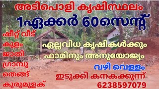 1ഏക്കർ 60സെന്റ് കൃഷിസ്ഥലവും ഷീറ്റ് വീടും.ജാതി ഗ്രാമ്പൂ കുരുമുളക്.വില ഏക്കറിന് 28ലക്ഷം. കനകക്കുന്ന് 👇