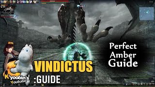 [Vindictus] Perfect amber guide | Staff evie