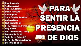 MUSICA CRISTIANA QUE REFRESCAN EL CORAZON Y EL ALMA🕊️HERMOSAS ALABANZAS CRISTIANAS🙌MIX DE ADORACION