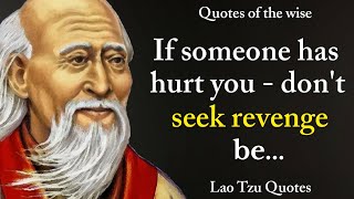 If Someone Has Hurt You Don't Seek Revenge ...! Lao Tzu Quotes