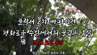 클락서 2차 빠따이가 나기전 평화로운 수빅에서의 꿀같은 휴식 009 never die