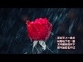 《雨不洒花花不红》茜西演唱~云南民歌~奚秀兰民歌经典