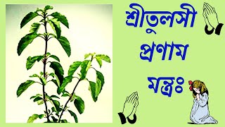 শ্রীতুলসী প্রণাম মন্ত্রঃ Shree Tulsi Pranam Mantra In Bengali