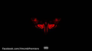 Lil Wayne - IANAHB ( I Am Not A Human Being 2 )