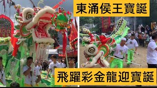 「邨長嶼您」一年一度東涌侯王寶￼誕飛躍金彩龍￼