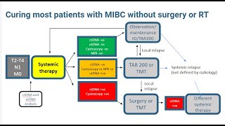 #UromigosLive24 Perioperative UC Panel Part 4: Predicting the Future of MIBC After NIAGARA