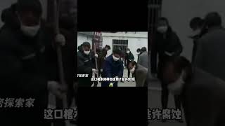 江蘇發現明朝不腐女尸，棺內尸液奇臭無比，面容姣好堪比辛追夫人 #尋寶 #古墓 #文物 #考古發現 #揭秘