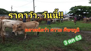 สำรวจ ราคาวัว วันนี้ !! ตลาดนัด ศีขรภูมิ 3 ตค 63