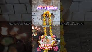 ଏଇ ପୀଠରେ ଏକୋଇଶି ଦିନ ମାନସିକ କରି ସନ୍ତାନ ପ୍ରାପ୍ତି ସହିତ ରୋଗ ବ୍ୟାଧି ରୁ ମୁକ୍ତି ପାଆନ୍ତୁ ଯୋଗାଯୋଗ 9337057990