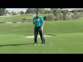 Reviewing the 4 Principles of Golf