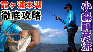 【バス釣り】真夏の霞ヶ浦！小森嗣彦プロ直伝の攻略方法【霞ヶ浦水系】