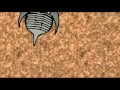 PL2: DIVERSE FOSSIL ORGANISMS OF THE LATE PALEOZOIC