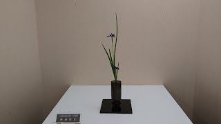 2020福岡池坊展　THE BEGINNING　3次展P2　Ikenobo　Ikebana Exhibition in FUKUOKA