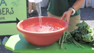 How To Properly Wash Kale