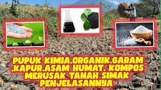 PUPUK KIMIA,ORGANIK,GARAM,KAPUR,ASAM HUMAT,KOMPOS MERUSAK TANAH‼SIMAK PENJELASAN NYA‼