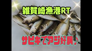 1/18雑賀崎RT　サビキでマアジが好調に釣れています♪フィッシングマックス和歌山インター店