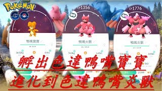 孵出色違鴨嘴寶寶.進化到色違鴨嘴炎獸pokemon go20190220