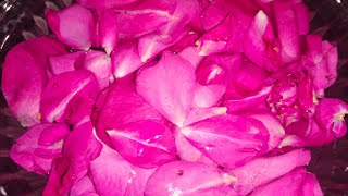 rose water തയ്യാറാക്കുന്നത്, വെറും പത്ത് രൂപ കൊണ്ട് റോസ് വാട്ടർ തയ്യാറാക്കി എടുക്കാം