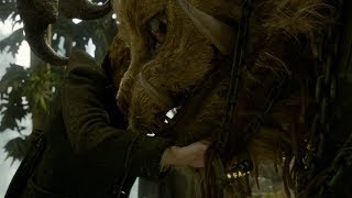 [FB] Newt Capture Zhowu And Release Her Chain - Fantastic Beast