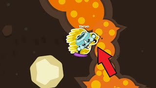 Starve.io I caught a golden bird and rode it