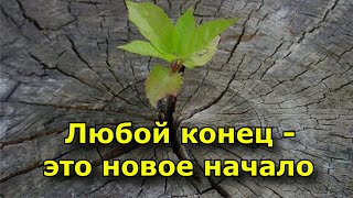 10 цитат, которые напомнят вам, что любой конец — это новое начало.