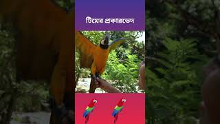 পৃথিবীতে প্রায় ৪০০ প্রজাতির টিয়ে পাখি রয়েছে | টিয়া পাখির অজানা কথা Barta Somachar #shorts